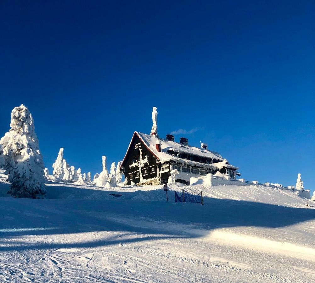 Ski Sun Sea - Rodzinny Apartament Pod Gondola Свєрадув-Здруй Екстер'єр фото